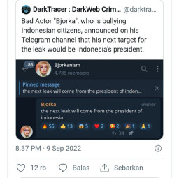 Hacker Klaim Bisa Bobol Data Presiden Jokowi