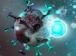 Indonesia segera Masuki Fase Endemi