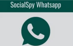 Social Spy WhatsApp Apk, Berikut Link Downloadnya