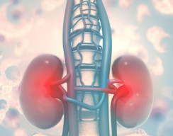 13 Anak di Yogyakarta Gagal Ginjal , 6 di Antaranya Meninggal