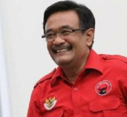 Soal Reshuffle Kabinet Jokowi, Nasdem Minta Djarot Nggak Asbun