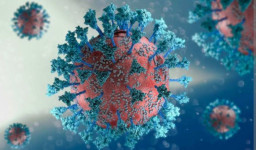 Covid Varian Kraken Diyakini Paling Menular, Sudah Masuk Indonesia?