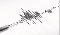 Maluku Tenggara Diguncang Gempa Magnitudo 6,6