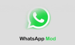 Kelebihan dan Kekurangan Aplikasi WhatsApp Mod Skala