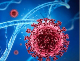 WHO: Tren Kematian karena Covid 19 Terus Turu, tapi Virus Tetap Ada