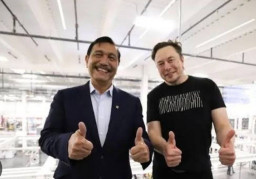 Luhut Tagih Elon Musk
