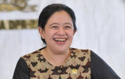 Soal Food Estate, Hasto dan Puan Nggak Kompak