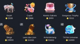 Harga Gift TikTok Termurah Hingga Termahal Hingga Jutaan Rupiah, Ini Daftarnya
