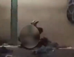 Viral Sejoli Berhubungan Intim di Depan Rumah Pinggir Jalan Raya di Kota Bandung