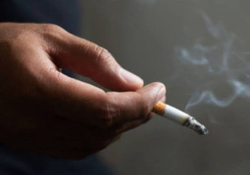 Mr P  Perokok Cenderung Mengecil, Ini Sebabnya