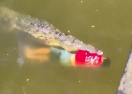 Mandi di Sungai, Pemain Sepakbola Diseret Buaya hingga Tewas