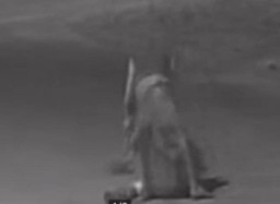 Terekam CCTV, Pria Ini Bacoki Orang di Tengah Jalan