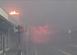 Hutan di Hawai Terbakar, 80 Orang Tewas