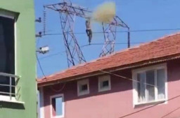 Sengaja Naik Tiang Listrik Bertegangan Tinggi, Pria Ini Tewas Tersengat Listrik