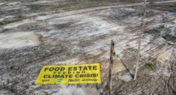 Bantah Food Estate Gagal, Istana: Hanya Perlu Dievaluasi