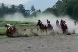 Kuda Patah Kaki saat Balapan, Joki Terinjak hingga Kritis