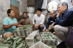 Wali Kota Eri bersama Dirjen ESDM Tampung Keluhan Pelaku UMKM di Kampung Lontong
