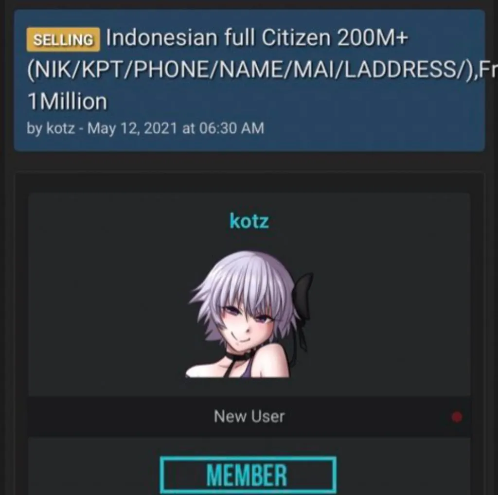 Sedang Viral, Data Penduduk Indonesia Bocor, Diduga dari BPJS Kesehatan