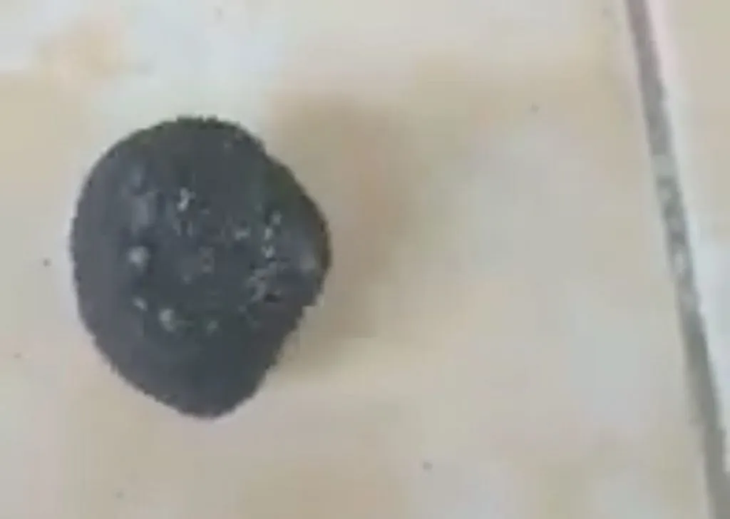 Beredar Video Penemuan Batu Kecil Bergerak Sendiri saat Terkena Sinar Matahari