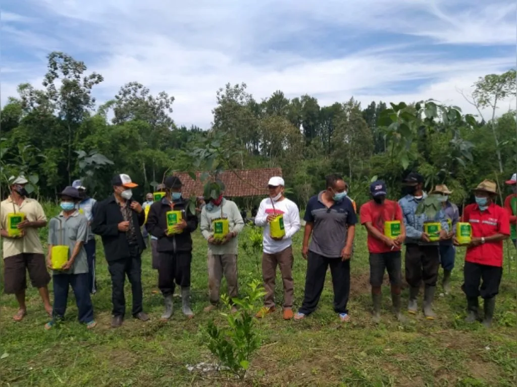 Volunteer LBH Malang Berikan Gratis Bibit Alpukat Unggul