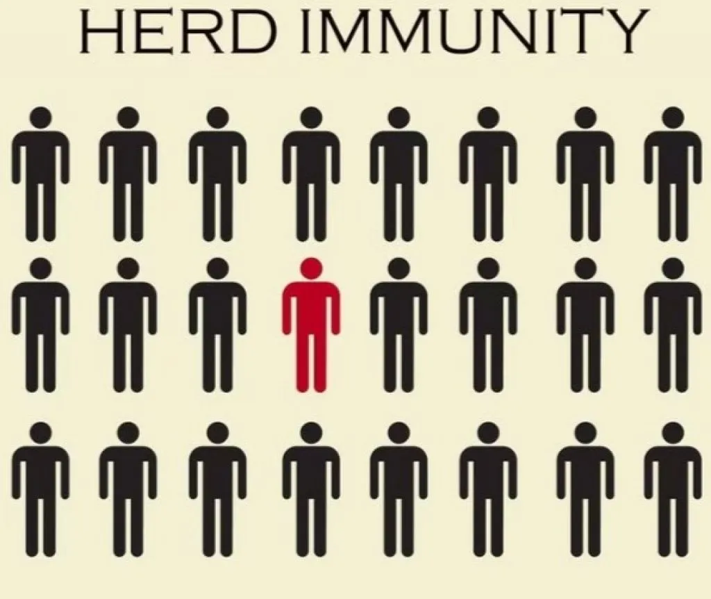 Herd Immunity di Indonesia, Terbentuk Agustus dan September