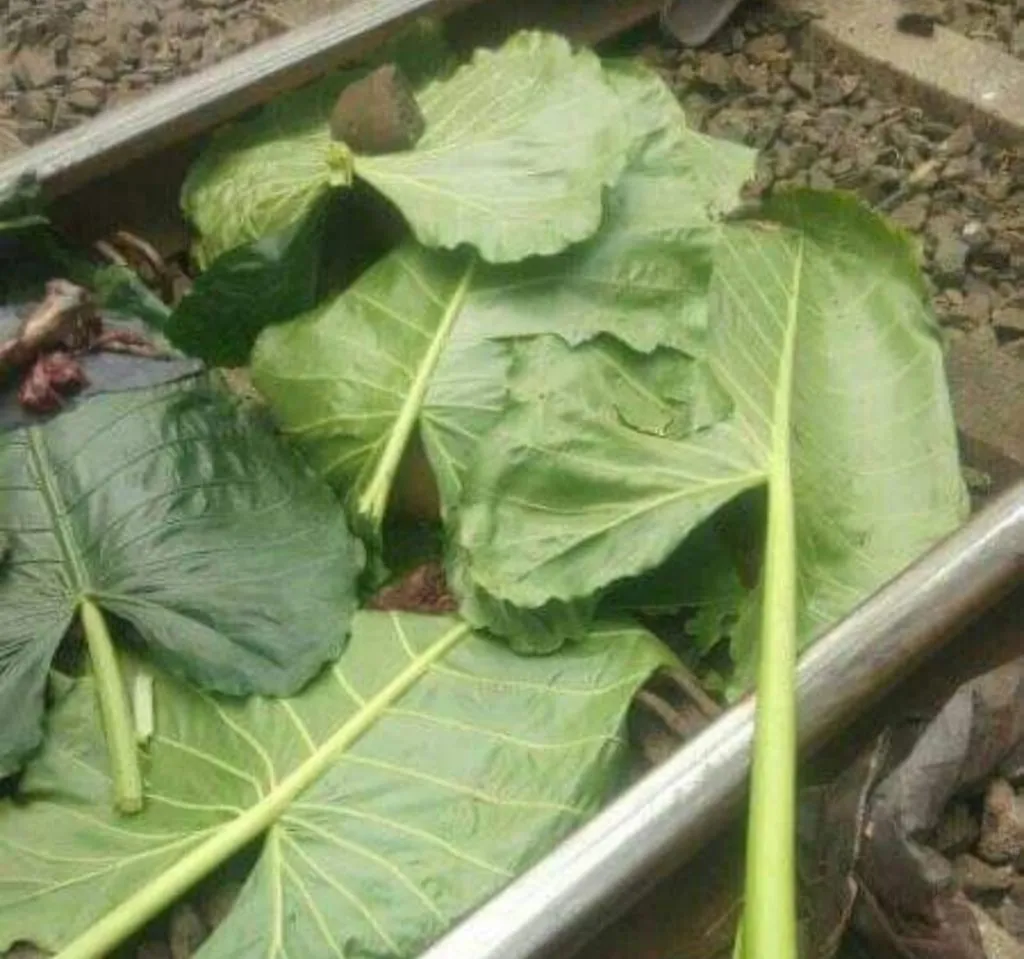 Terobos Perlintasan, Tubuh Mardi Hancur Dihajar Kereta Api