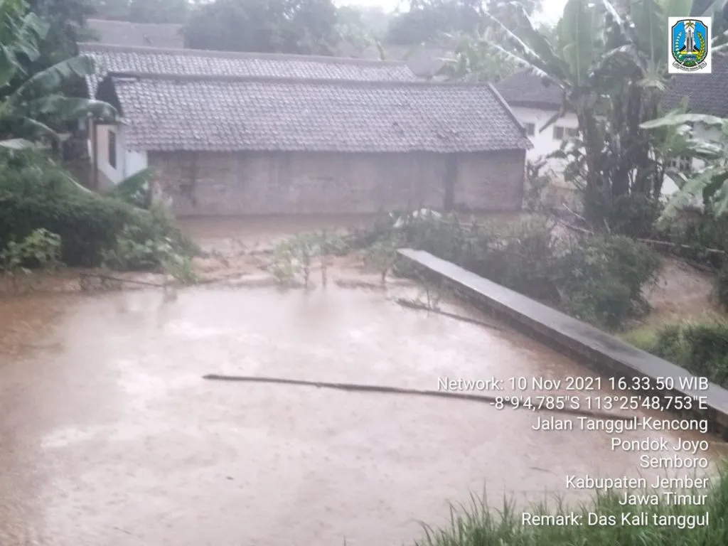 Ngerinya banjir di Jember hingga menenggelamkan rumah warga.