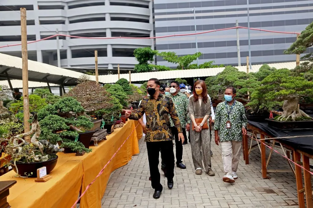 Pameran Bonsai Nasional Surabaya Awal Kebangkitan UMKM di Kota Pahlawan