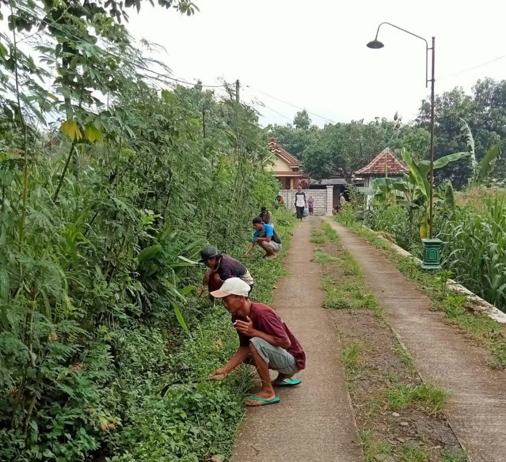 Bukan Fogging, Ini yang Dilakukan Warga Ponorogo untuk Tangkal DBD