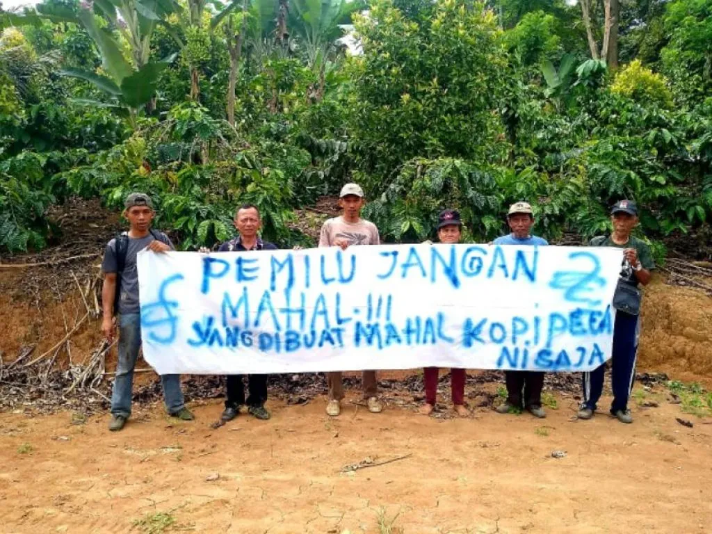 Tolak Pemilu Mahal, Petani Kopi Lampung: Yang Dibuat Mahal Harga Kopi Saja!
