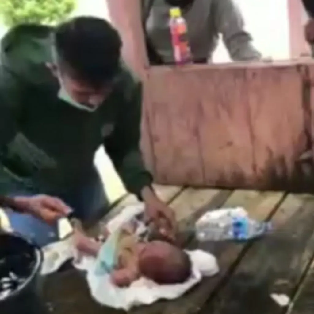 Viral! Bayi Berlumuran Tanah dan Dikerubuti Semut, Diselamatkan Mahasiswa