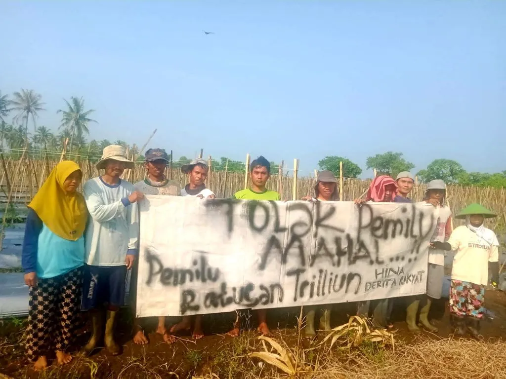 Tolak Pemilu Mahal, Petani Boyolali: Giliran Harga Tomat Dibiarkan Murah