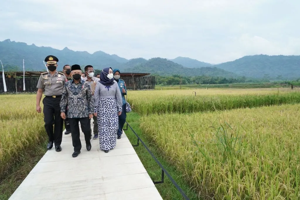 Tinjau Kawasan Destinasi Wisata Prioritas, Wapres Sambangi Balkondes PGN Karangrejo