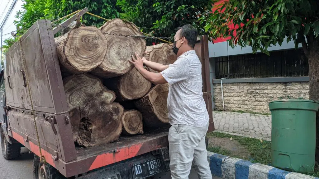 Curi Pohon Perhutani, Dua Warga Madiun Ditangkap, Tiga Buron
