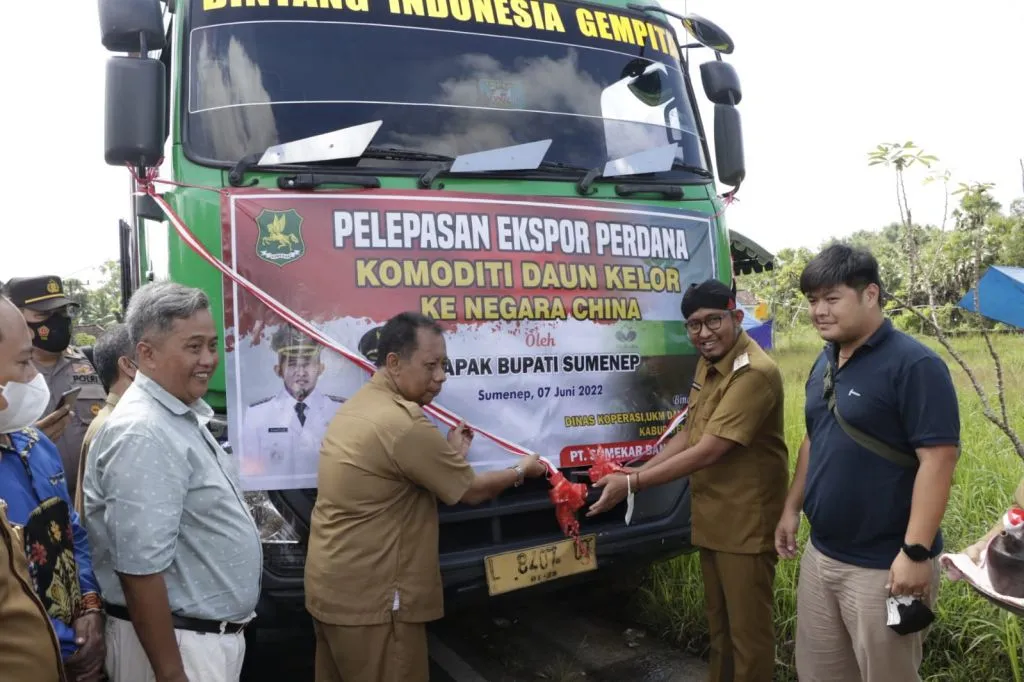 Bupati Fauzi Lepas Ekspor Perdana 22 Ton Daun Kelor ke China