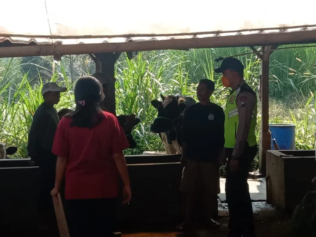 Bhabinkamtibmas Polres Batu Dampingi Vaksinator