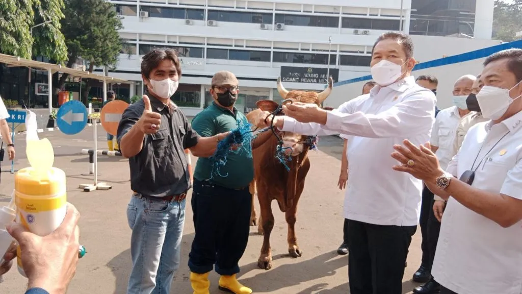 Jelang Idul Adha 1443 H, Jaksa Agung Siapkan 30 Ekor Sapi
