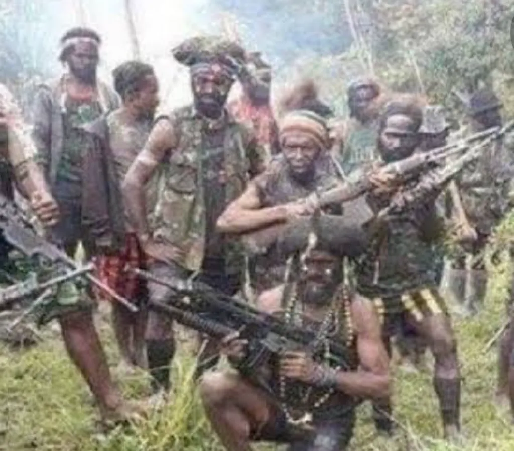 11 Warga Sipil Dibunuh KKB Papua