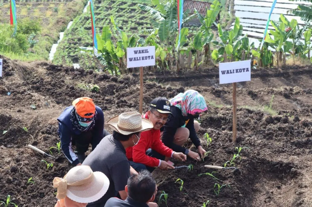 Kendalikan Inflasi, Pemkot Batu Laksanakan Gerakan Penanaman Tanam Pangan