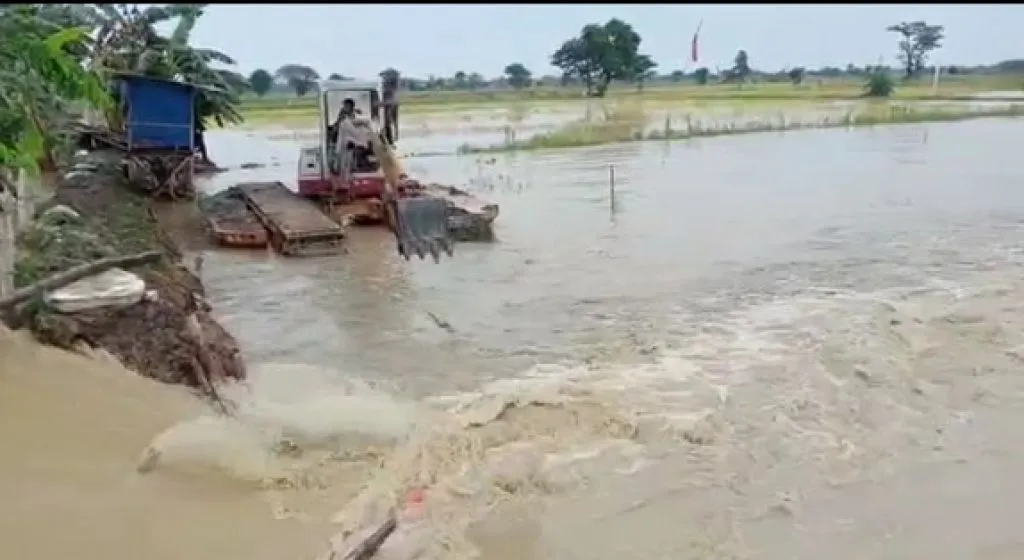 Tanggul Jebol Rendam Puluhan Hektar Lahan Pertanian dan Pemukiman di Lamongan