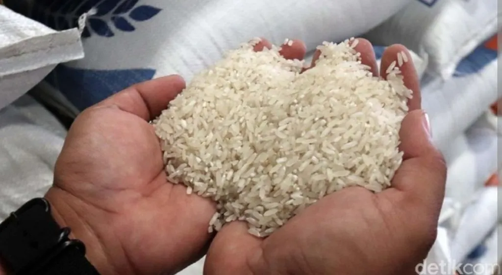 Beras Masih Import, Indonesia Gagal Perkuat Ketahanan Pangan
