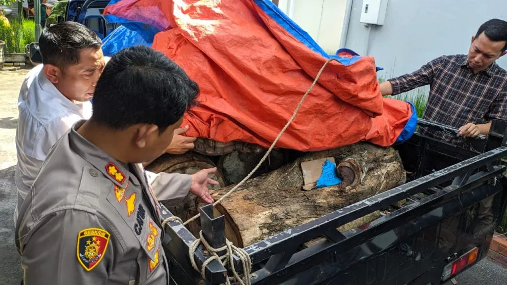 Illegal Logging, Dua Buruh Pengangkut Kayu Dibekuk Polres Ponorogo