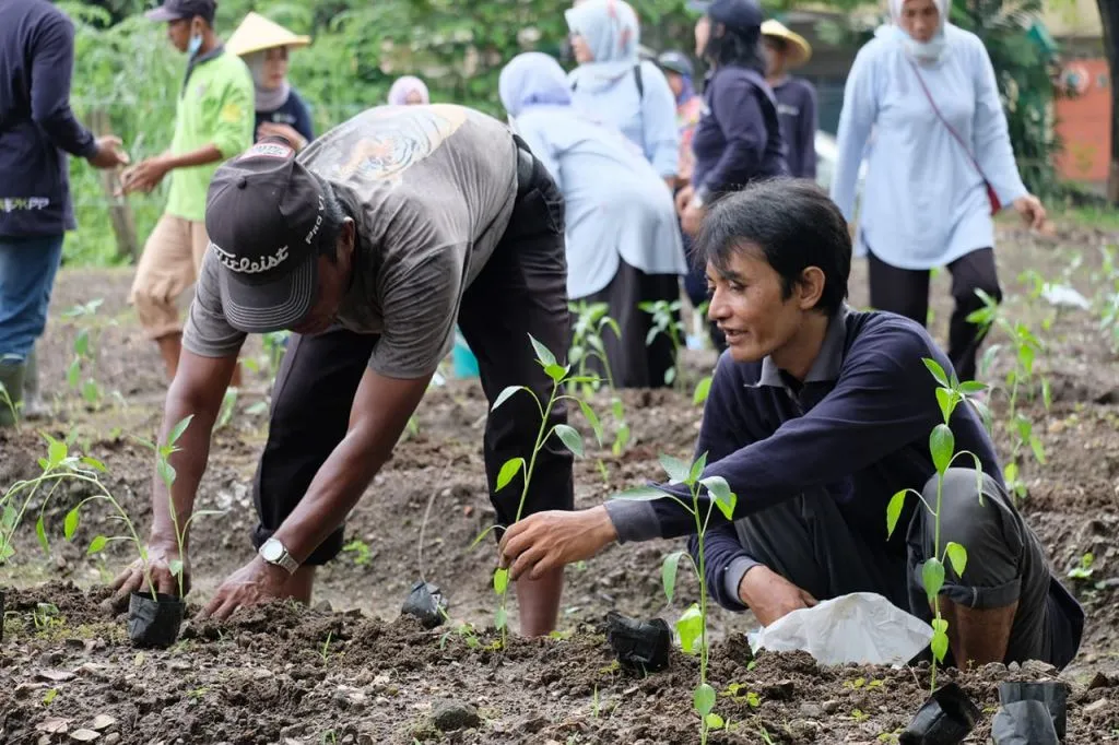 Kendalikan Inflasi, Pemkot Surabaya Tanam 1 Juta Bibit Cabai dan 4 Ribu Bawang Merah