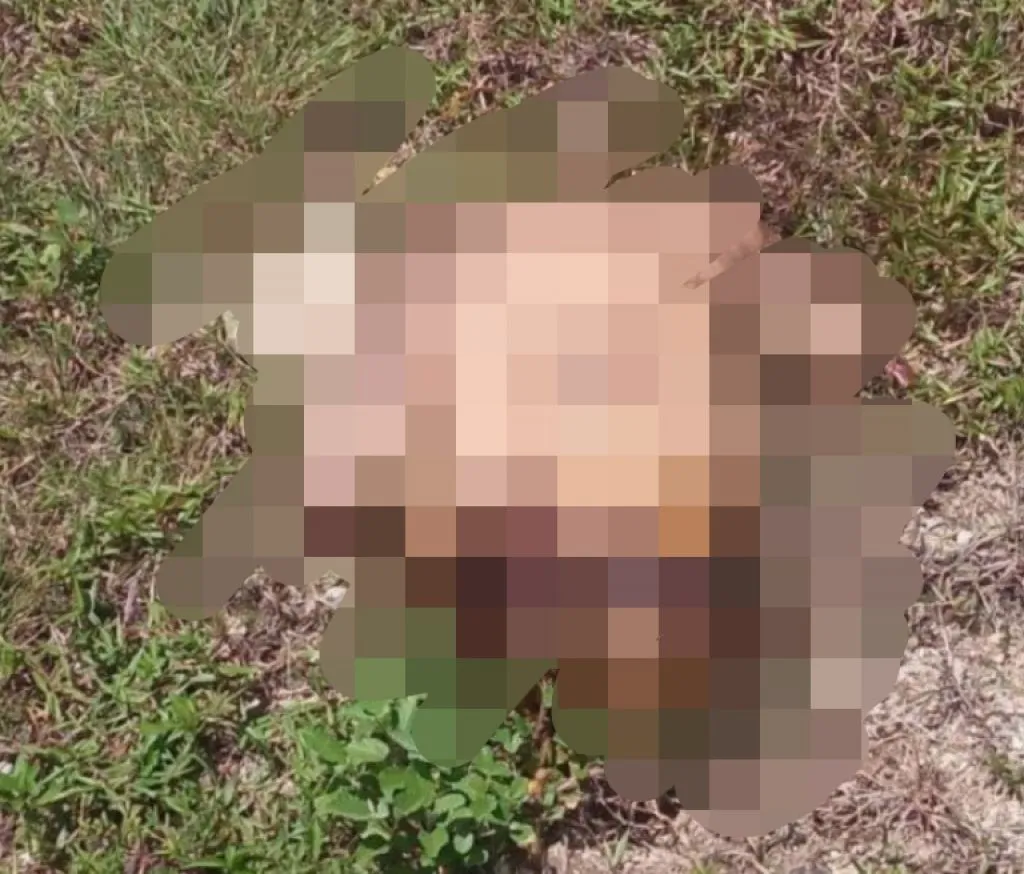 Warga Negara Asing Ditemukan Dalam Tas Koper dengan Kondisi Terpotong Jadi Enam