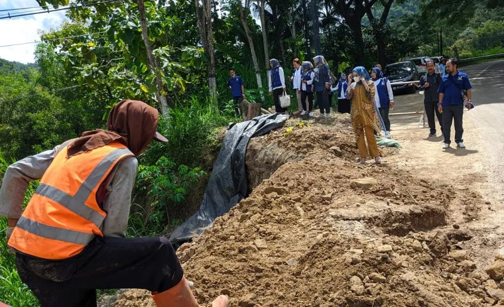 Anggota Komisi V DPR-RI Partai Nasdem Sri Wahyuni saat meninjau lokasi jalan Ponorogo - Pacitan yang amblas. Foto:Zainul