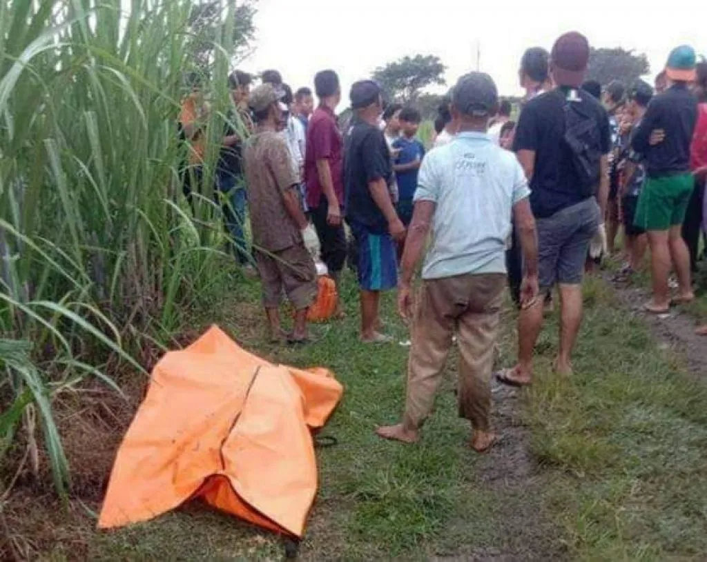 Mayat Wanita dan Bayi Ditemukan Membusuk di Ladang Tebu di Kediri