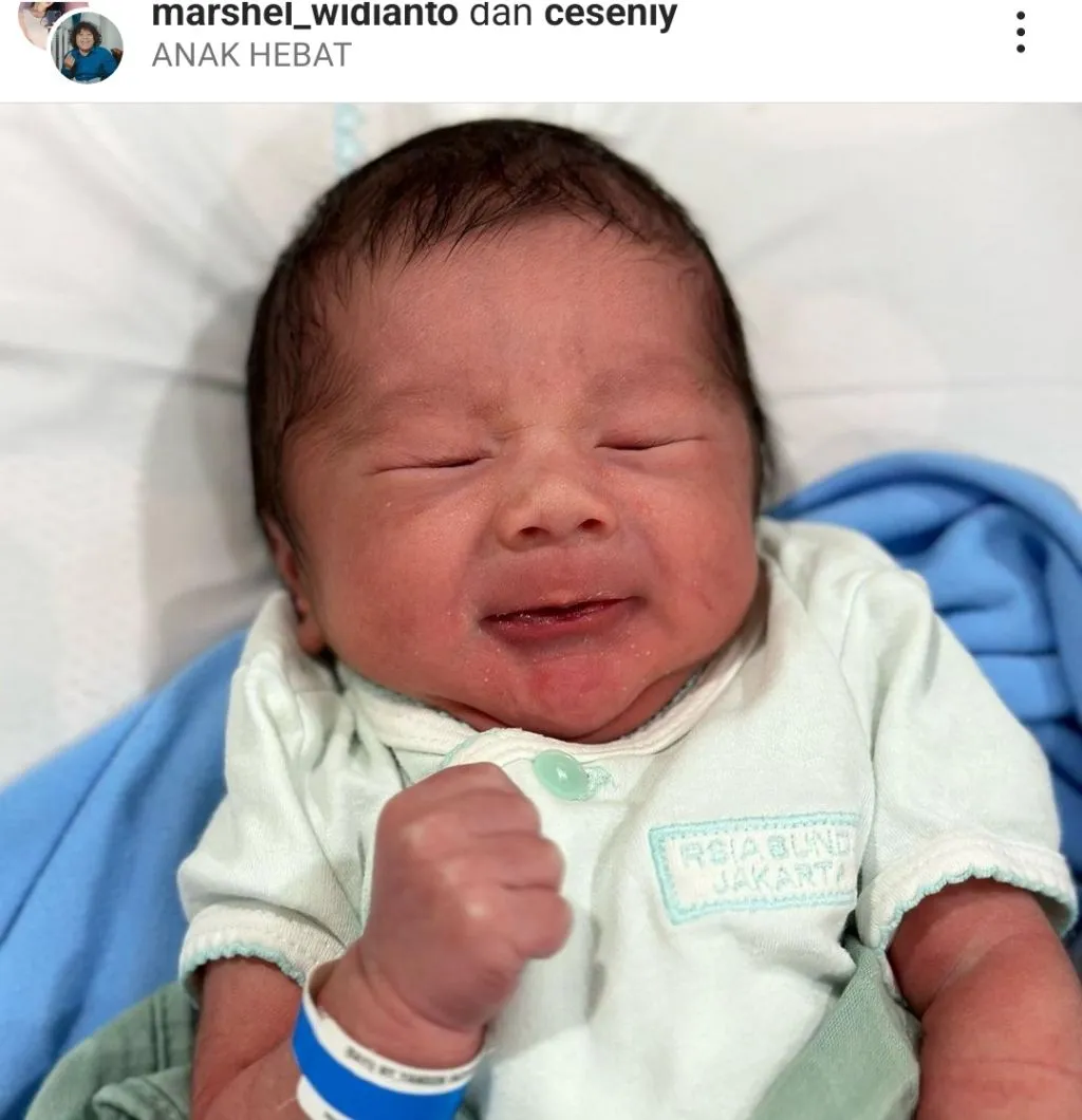 Tak Pernah Ada Kabar Menikah, Marshel Widianto Umumkan Kelahiran Bayinya
