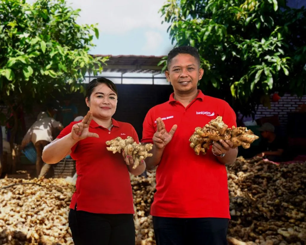 Didukung Penuh Bank Jatim, Petani Ini Ekspor Jahe Sampai ke 4 Negara