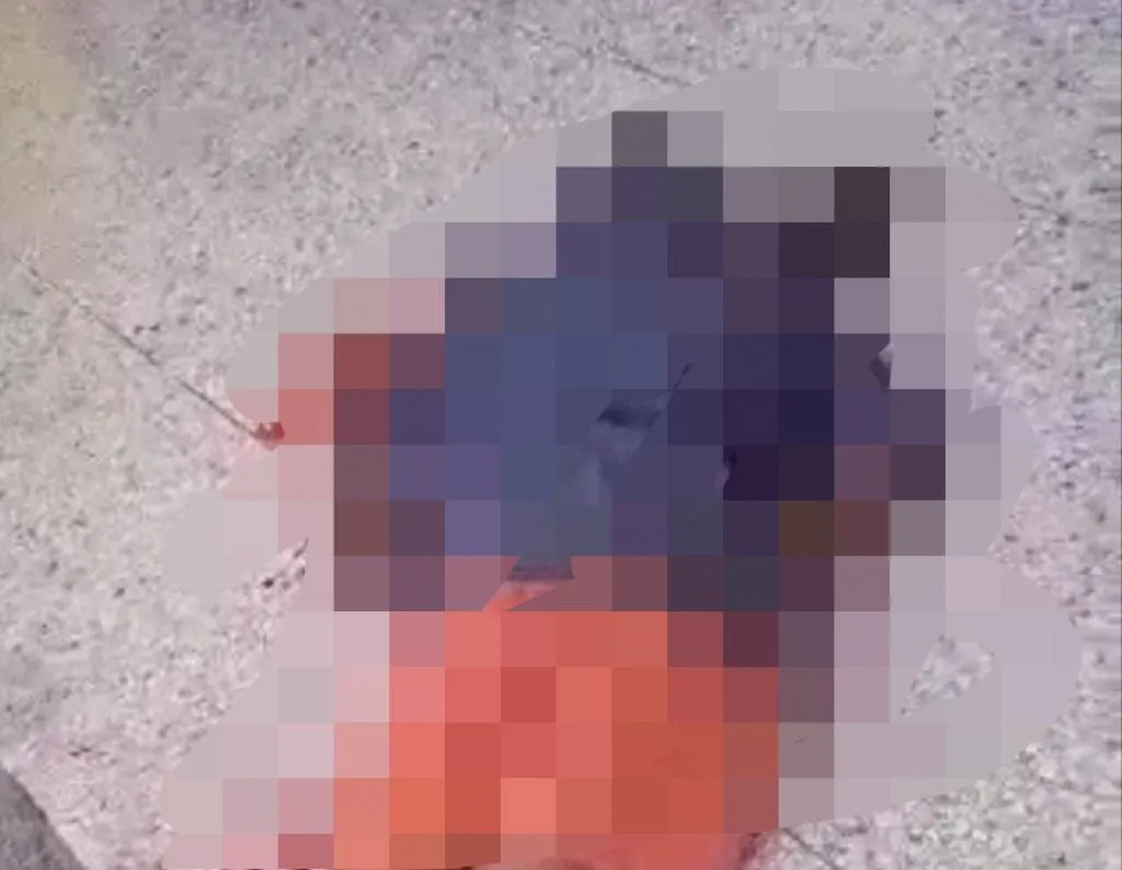 Todongkan Pistol Mainan Pria Bergangguan Mental Ditembak Mati Satpam