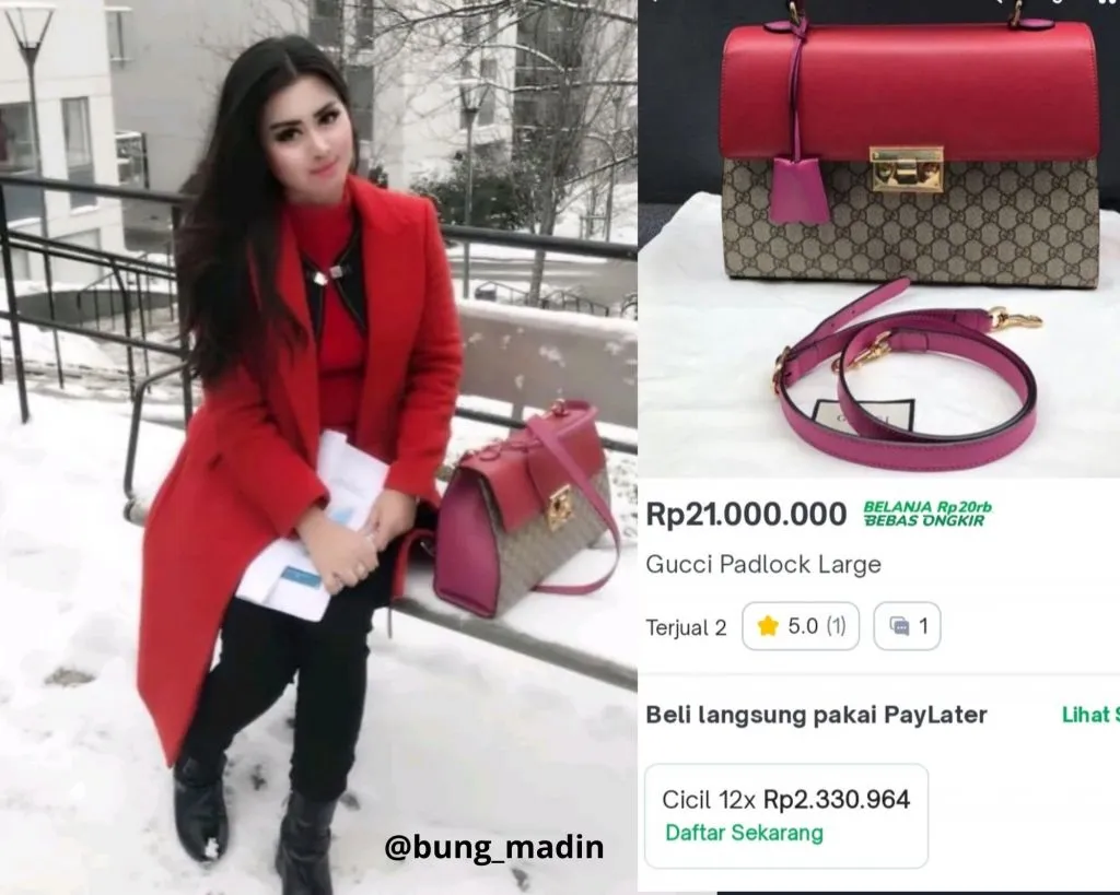 Anggota DPR Ini Pamer Tas Rp 21 Juta Saat Dapilnya Berkategori Sangat Miskin